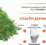 Эко-марафон «Сдай макулатуру – спаси дерево!» - Администрация района